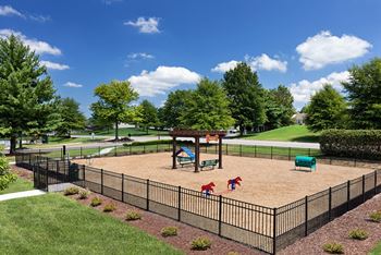 A playground in a park with a black fence